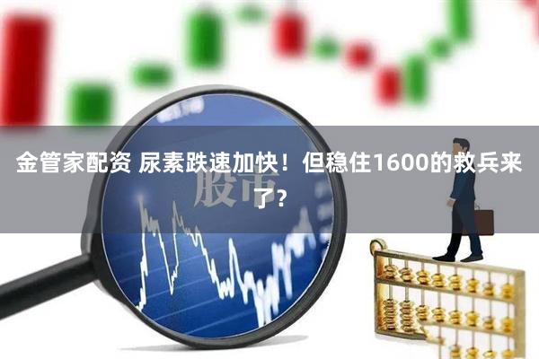 金管家配资 尿素跌速加快！但稳住1600的救兵来了？