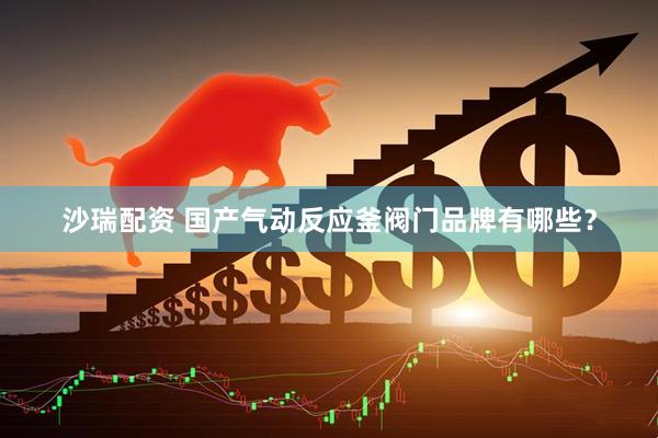 沙瑞配资 国产气动反应釜阀门品牌有哪些？