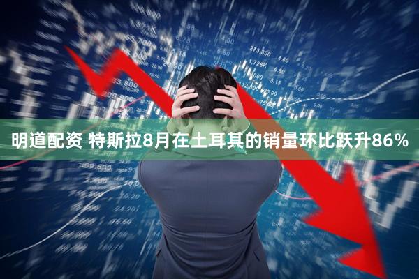 明道配资 特斯拉8月在土耳其的销量环比跃升86%