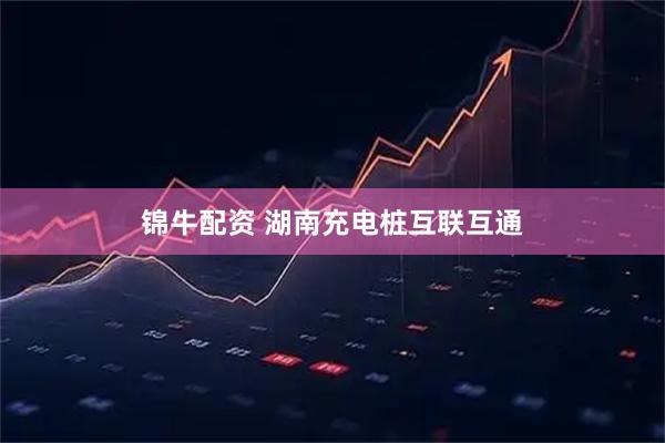 锦牛配资 湖南充电桩互联互通