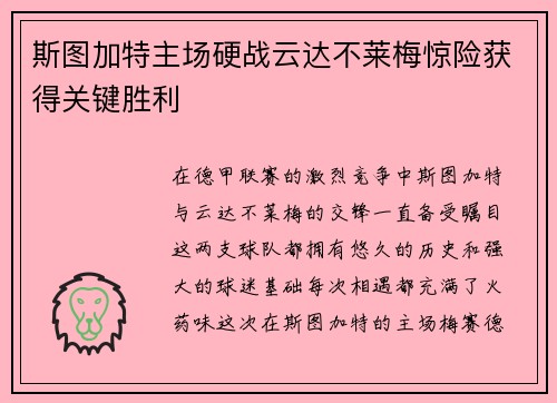 斯图加特主场硬战云达不莱梅惊险获得关键胜利