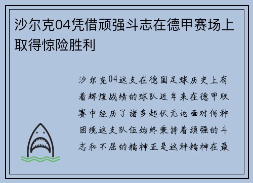 沙尔克04凭借顽强斗志在德甲赛场上取得惊险胜利