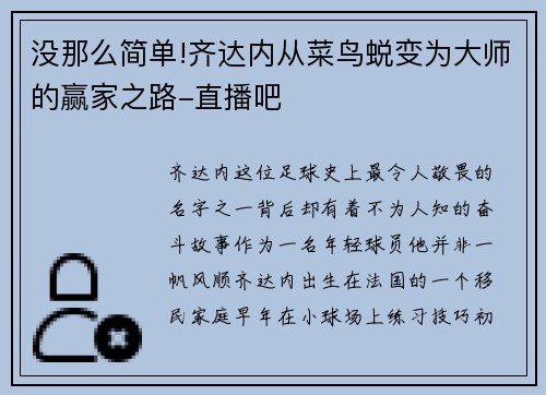 没那么简单!齐达内从菜鸟蜕变为大师的赢家之路-直播吧
