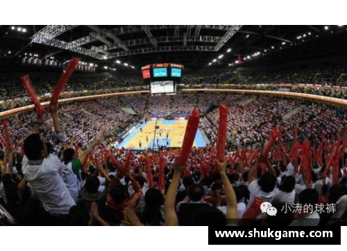 yl6809永利官网北京NBA：球场之都的崛起 - 副本