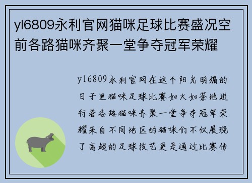 yl6809永利官网猫咪足球比赛盛况空前各路猫咪齐聚一堂争夺冠军荣耀